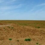 “بينتر” تطلق أكبر برنامج لها للرحلات الجوية نحو عدد من مدن المغرب، ضمنها أكادير.