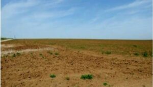 تمليك الأراضي الجماعية بالمغرب