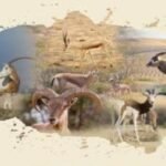 غياب مدارس عمومية بعدد من أحياء مدينة أيت ملول يسائل الوزير بنموسى