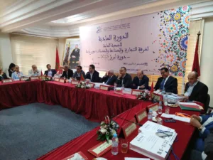 الضور : اللجنة الجهوية للاستثمار تصادق على 265 مشروعا بمبلغ استثماري يفوق 10 ملايير درهم