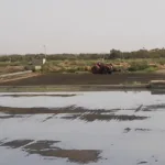 السطو على تجهيزات مؤسسة تعليمية يقود جانحين إلى التوقيف