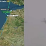 قطة الإمام الجزائري والقبّعة العسكريّة