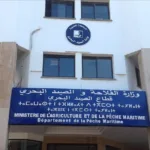 نزوح جماعي لمنتجي “الدلاح” بسوس ومناطق أخرى إلى موريتانيا والسينغال