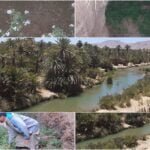 شريط فيديو يظهر سيدة تسرق محلا تجاريا يستنفر المصالح الأمنية.