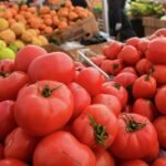 ورزازات : تضرر الكلية متعددة التخصصات جراء زلزال الحوز يحرم مئات الطلبة من الدراسة، وسط مطالب بالتدخل لإنهاء الأزمة