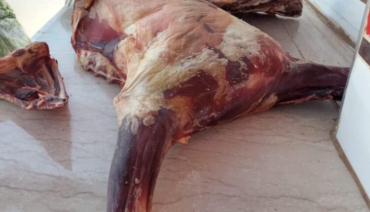(+صور): حجز كميات هامة من اللحوم الفاسدة بمركز ميراللفت. 3 اللحوم الفاسدة 3