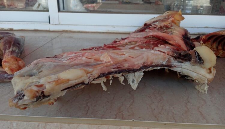 (+صور): حجز كميات هامة من اللحوم الفاسدة بمركز ميراللفت. 2 اللحوم الفاسدة 4