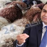 عزيز أخنوش يترأس لجنة تعميق النقاش حول مقترح وهبي المتعلق بالعقوبات البديلة.