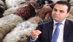 بايتاس يبدد مخاوف المواطنين بشأن أضاحي العيد، وهذا ما قاله حول إصلاح صناديق التقاعد 8 بيتاس
