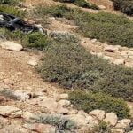 (+صور وفيديو) أكادير : عطلة بنكهة أجواء صيفية مغرية لاقت استحسان ساكنة و زوار المدينة.
