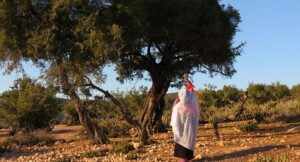 شجر الأركان