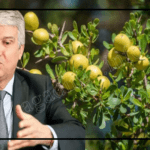 الانبعاثات وظاهرة الـ”نينيو” يرفعان درجة حرارة الأرض، والمغرب من بين البلدان الأشد تأثرا