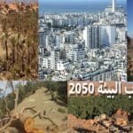 الكاف يدخل على خط الأحداث التي شهدتها مباراة الرجاء والأهلي، وهذا ما قرره في حق الفريق الأخضر