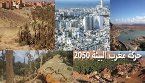 مدافعون عن البيئة يجددون مطالبتهم بإيقاف تنخيل المدن المغربية، ويراسلون المنصوري وبنعلي بشأن الموضوع 10 مغرب البيئة 2050