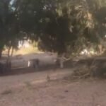 تهيئة أسواق الأضاحي المؤقتة (الرحبات) استعدادًا لبيع أضاحي العيد في المغرب