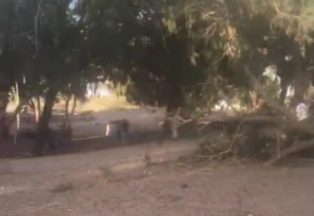 إنزكان : طفلة صغيرة تلقى حتفها بطريقة مأساوية بغابة المزار