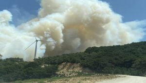 حالة استنفار إثر إندلاع حريق مهول بغابة، وسط مطالب بالتدخل العاجل لإخماد النيران.