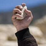 تحديث جديد لتطبيق “واتس آب” يغير طريقة إرسال الصور إلى أصدقائك
