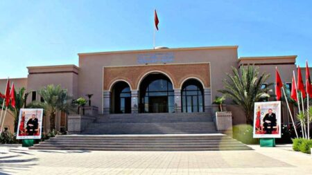 تحليل وتشريح آليات تنزيل الصناعة الثقافية بجهة سوس ماسة، محور يوم دراسي بتارودانت.
