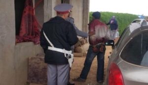 قاتل زوجة إبنه يُسلّم نفسه لعناصر الدرك الملكي 7 درك إإإ