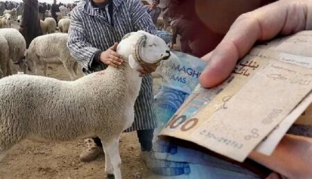 “حماة المستهلك” يطالبون بإلغاء عيد الأضحى لإنقاذ المغاربة من “الضربة القاضية” "حماة المستهلك" يطالبون بإلغاء عيد الأضحى لإنقاذ المغاربة من "الضربة القاضية"