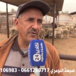 بنك المغرب : الدرهم يرتفع مقابل الدولار.
