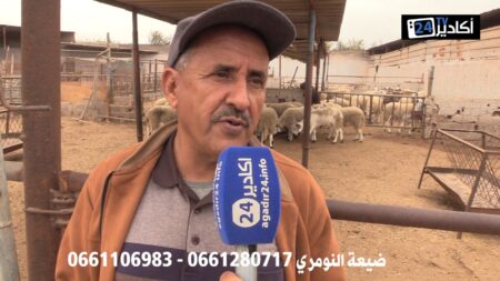 ضيعة النومري بمدخل أكادير: وجهة السوسيين لاقتناء أضاحي العيد..أثمنة مناسبة وأعلاف طبيعية (فيديو)