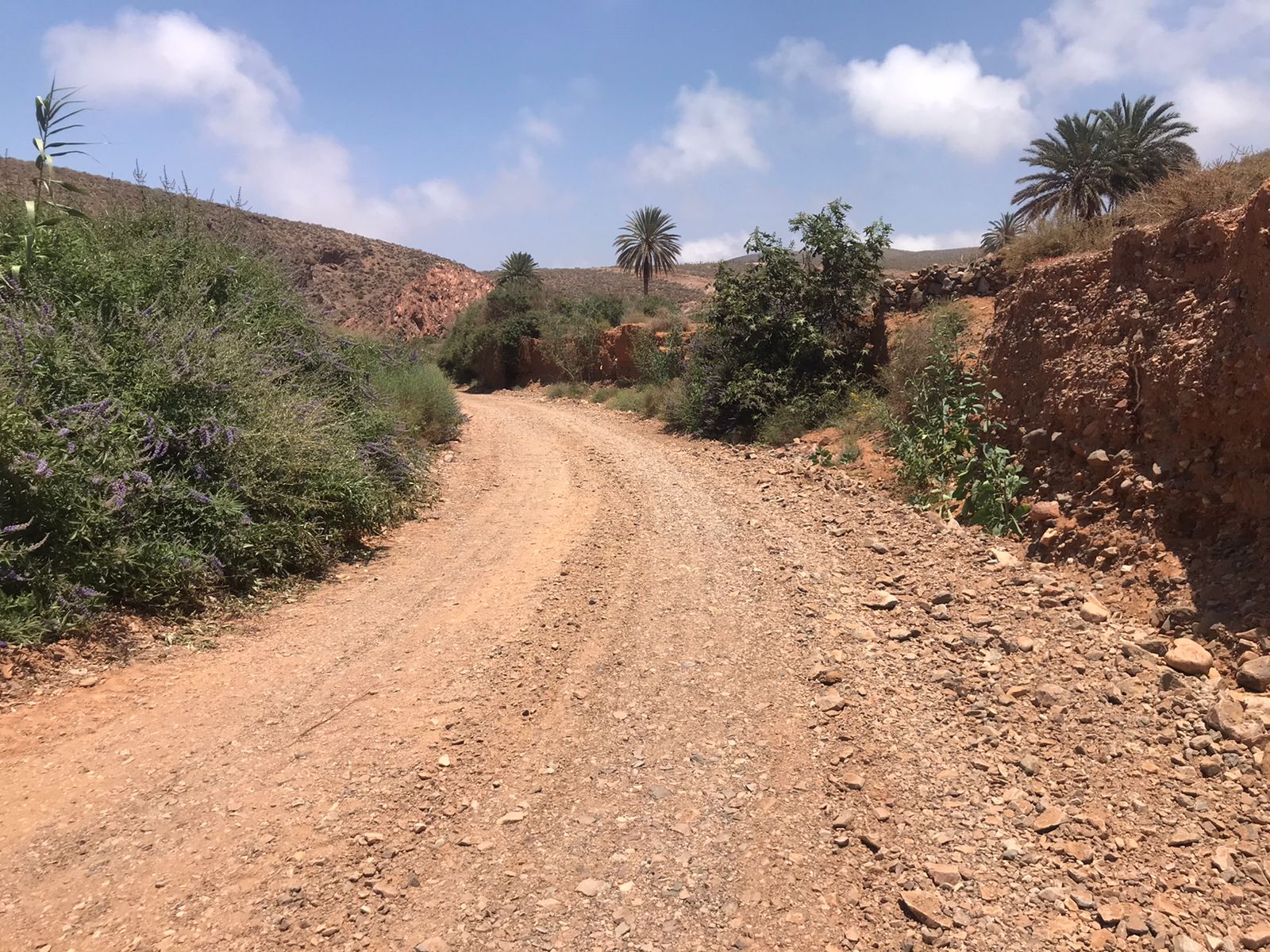 ميراللفت 6