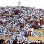 إقبال متزايد على شراء أضاحي العيد عبر الإنترنت