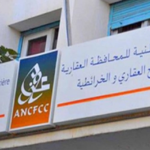 يـا لـوط.. هل نـلـبـس الـقـبُّـوط؟!!