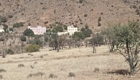سوس ماسة : اندلاع مواجهات بين الرعاة الرحل وساكنة تفراوت، ومتضررون ينشدون وضع حد لمعاناتهم سوس ماسة : اندلاع مواجهات بين الرعاة الرحل وساكنة تفراوت، ومتضررون ينشدون وضع حد لمعاناتهم