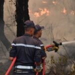 ظاهرة الاغتيالات السياسية بالجزائر، نهج سياسي تاريخي للتخلص من الخصوم.
