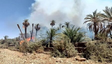 سوس ماسة : مطالب بتعويض الفلاحين المتضررين من حرائق الواحات بطاطا سوس ماسة : مطالب بتعويض الفلاحين المتضررين من حرائق الواحات بطاطا