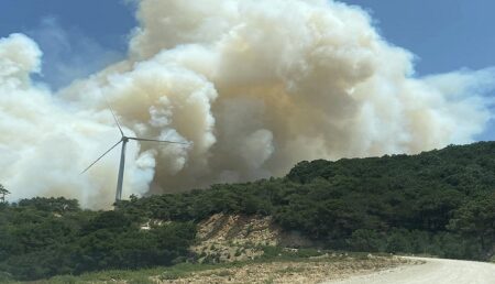 المغرب: مواصلة الجهود للسيطرة على حريق غابة في إقليم الفحص-أنجرة