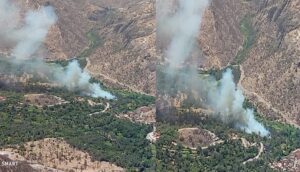 اندلاع حريق مهول في غابات تاركا نتوشكا وسط مطالب بالتدخل العاجل لإخماد النيران.