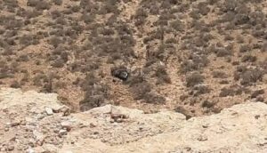 أكادير : سقوط مدوي لسيارة من أعلى جبل ينهي حياة أسرة بأكملها في مشهد مأساوي+”صور”