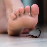 الجيش الإسرائيلي يشن هجوما على جنين هو الأكبر منذ 20 عاما، وسط مطالب بتحرك دولي