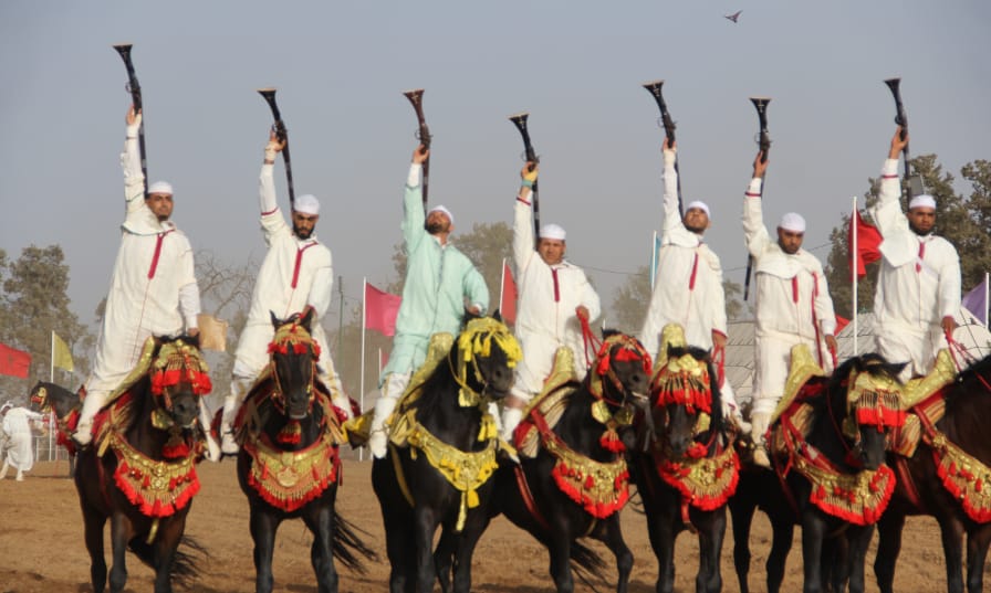 مهرجان تيفلت الثقافي 5