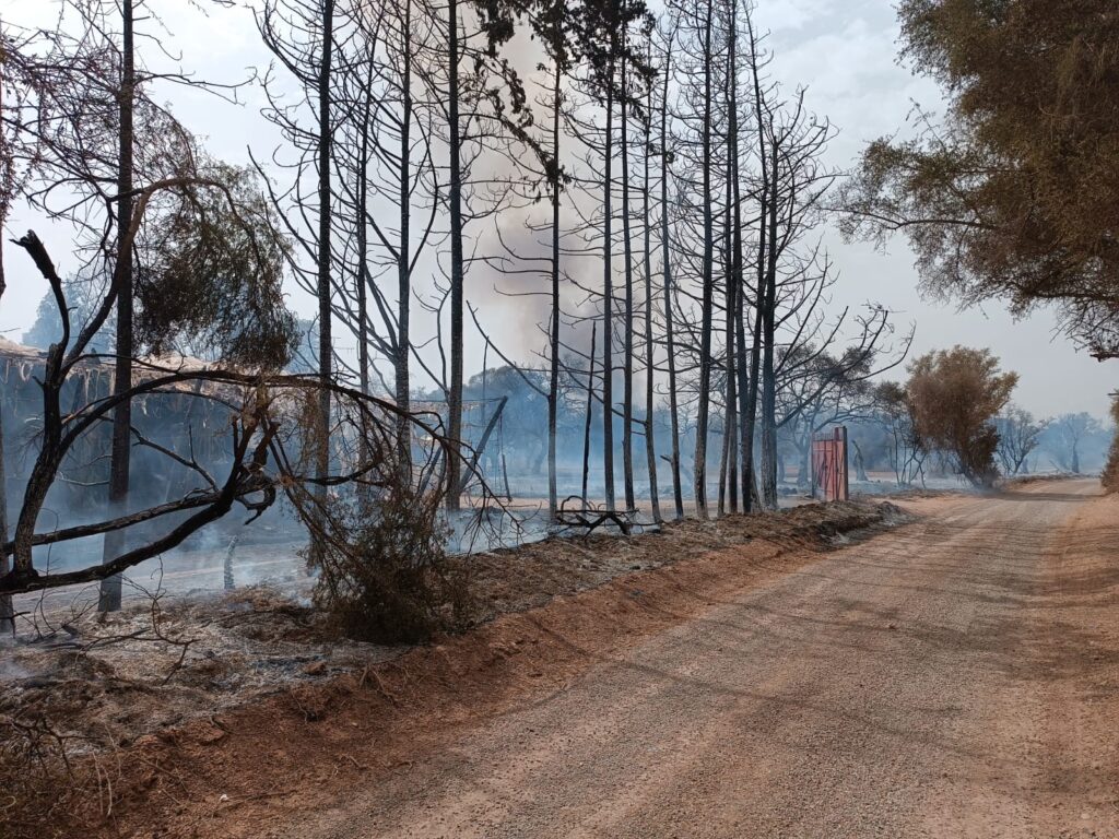 إنزكان : حريق مهول بمدينة أزرو يستنفر مختلف السلطات