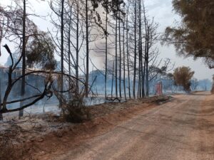 إنزكان : حريق مهول بمدينة أزرو يستنفر مختلف السلطات