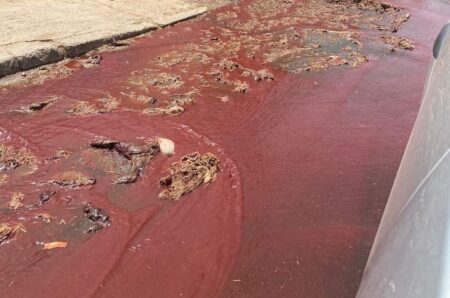حالة كارثية للمجزرة الجماعية بمدينة إنزكان