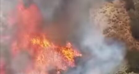 حريق مهول يزرع الرعب في ساكنة جبال تارودانت، وسط مطالب بتدخل سريع لإخماده حريق مهول يزرع الرعب في ساكنة جبال تارودانت، وسط مطالب بتدخل سريع لإخماده