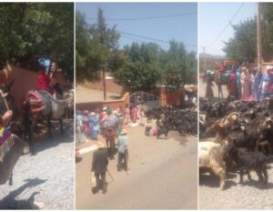 مرفوقين بالحمير والمواشي.. العطش يخرج عشرات المواطنين للاحتجاج بإحدى الجماعات