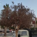 مظاهر التهميش والفوضى تثير استياء مصطافين بشاطئ أكلو