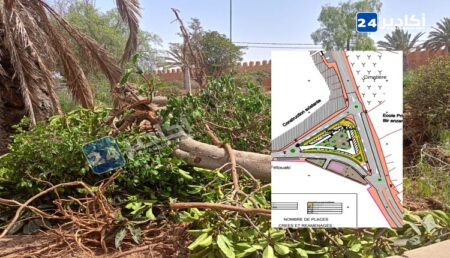 تزنيت : تحدي الحدائق الطبيعية والمشاريع التنموية المتعثرة في المدينة، تثير الجدل و التساؤلات وسط المنتخبين و المواطنين. تزنيت : تحدي الحدائق الطبيعية والمشاريع التنموية المتعثرة في المدينة، تثير الجدل و التساؤلات وسط المنتخبين و المواطنين.
