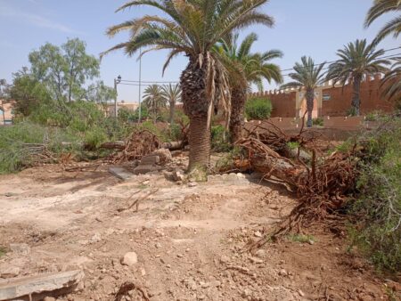 على خلفية الندوة الصحفية..الأسئلة التي لم يجب عليها نائب رئيس المجلس الجماعي لمدينة تيزنيت.