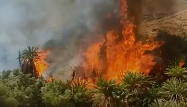 اندلاع حريق جديد بإحدى واحات طاطا، وسط حديث عن حصيلة ثقيلة