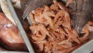 مداهمة مطاعم و”سناكات” تسفر عن حجز مواد غذائية فاسدة