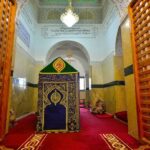 الكلاب الضالة تواصل نهش أجساد الأطفال وسط صمت المسؤولين
