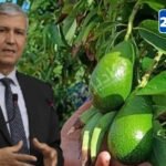 المركز القضائي بإنزكان يداهم منزل تاجر مخدرات معروف بالقليعة